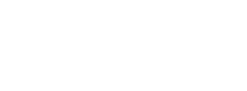 Logo ideal wero white